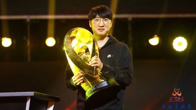 领域的崛起 领域的崛起