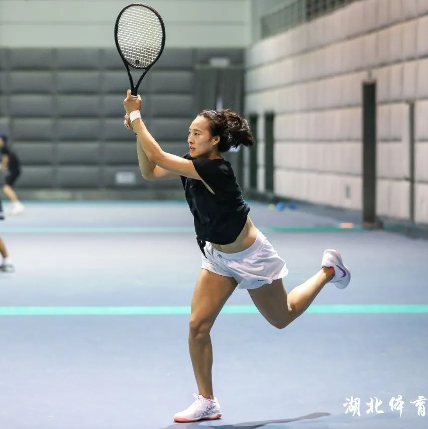 米特罗维奇 米特罗维奇